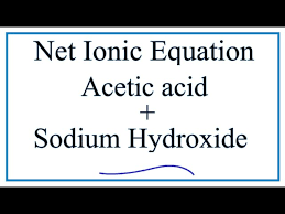 How To Write The Net Ionic Equation For