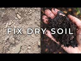 How To Fix Dry Soil To Make It Healthy
