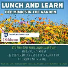 Lunch And Learn Bee Mimics In The