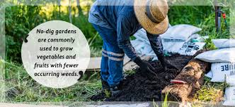 No Dig Gardening For Beginners Coco