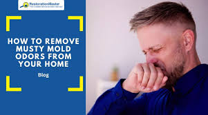 How To Remove Musty Mold Odors From
