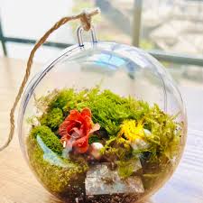 Make A Terrarium Ornament