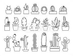 Continuous Line Drawing Of Cactus And