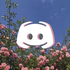 Pink Roses Discord Icon Flower App