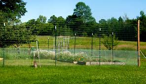 Garden Fence