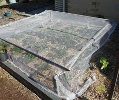 How To Install Bird Netting Over Garden