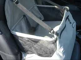 Puppy Riding In Car Seat How Too