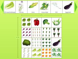 Planning A Vegetable Garden Layout For