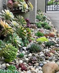 30 Succulent Rock Garden Ideas