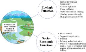 Riparian Zone Assessment And Management