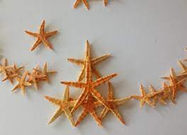 Starfish Anchor Wall Decor Diy