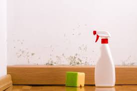 How To Clean Wall Stains Bsolute