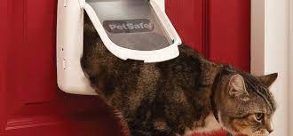 A Cat Flap Into Glass And Upvc Doors