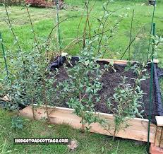 Build A Raised Garden Bed On A Hill