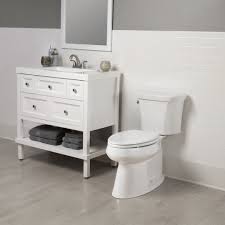 1600e4 Bemis Toilet Seat