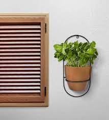 Wall Planters Buy Wall Planters