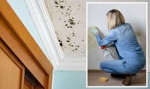 Mould Growth In Your Bedroom