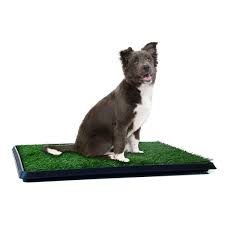 Petmaker Medium Puppy Potty Trainer