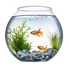 Fish Bowl Icon Images Browse 15