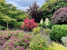Great Garden Ideas