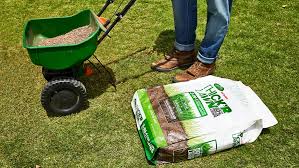 How To Plant Grass Seed Lowe S