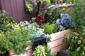 Vegetables And Herbs In Containers