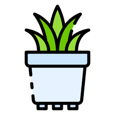 Plant Pot Good Ware Lineal Color Icon