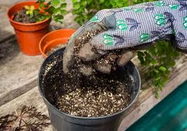 How To Reuse Potting Soil Step By Step