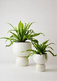 Plant Pots Handcrafted Ceramics