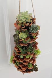 Make A Gorgeous Hanging Succulent Tower