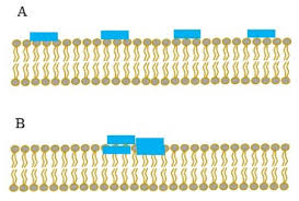 Plasmon Waveguide Resonance Principles