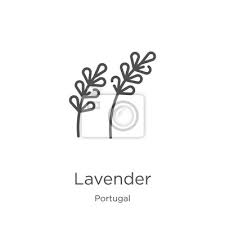 Lavender Icon Vector From Portugal