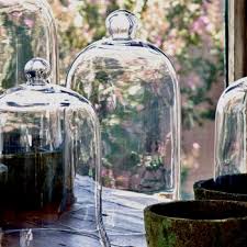 Classic Bell Jar Clear Tall 9w 15h