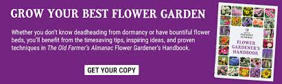 Learn To Garden Flower Gardening