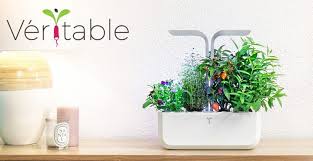 Avis Potager Veritable Test Du