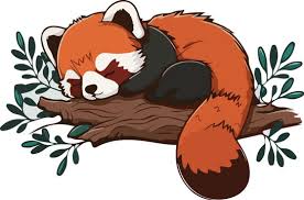 Red Panda Vector Images Browse 127