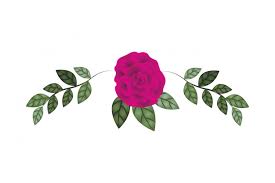 Beautiful Rose With Leafs Isolated Icon