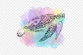 Turtle Ilration Turtle Design Art