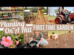 Garden Tour Planting A First Time
