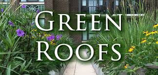 Atlantic Star Design Green Roofs