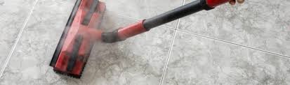 Pet Urine Odor And Stains On Your Carpet