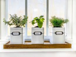 Diy Indoor Herb Garden Kit