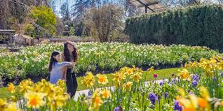 Vandusen Botanical Garden City Of