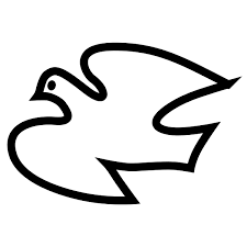 Dove New Png