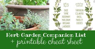 Spring With An Herb Garden