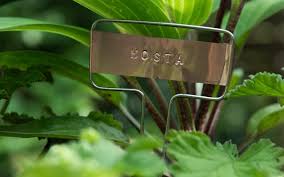 10 Of The Best Labels For Your Plants
