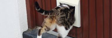 Cat Flap Installers In Sible Hedingham
