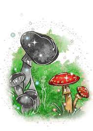 Mushrooms Teelie S Fairy Garden