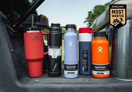Best Insulated Water Bottles Of 2023
