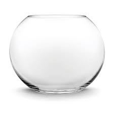 Glass Bubble Fish Bowl Terrarium Vase